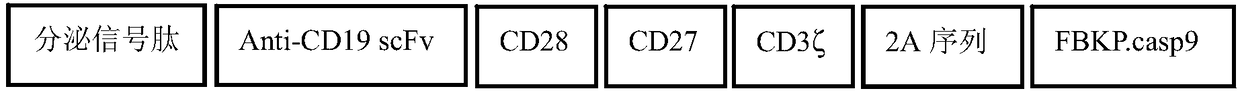 CD19-based chimeric antigen receptor and application thereof