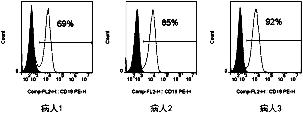 CD19-based chimeric antigen receptor and application thereof
