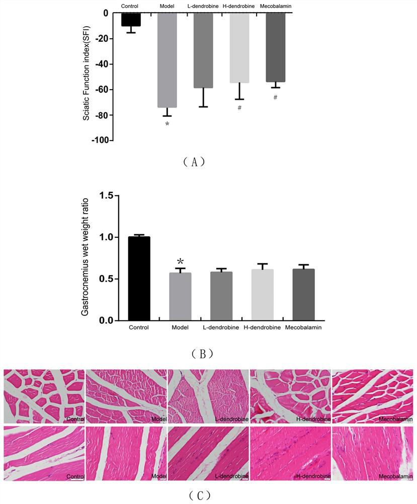 Application of dendrobium nobile alkaloid