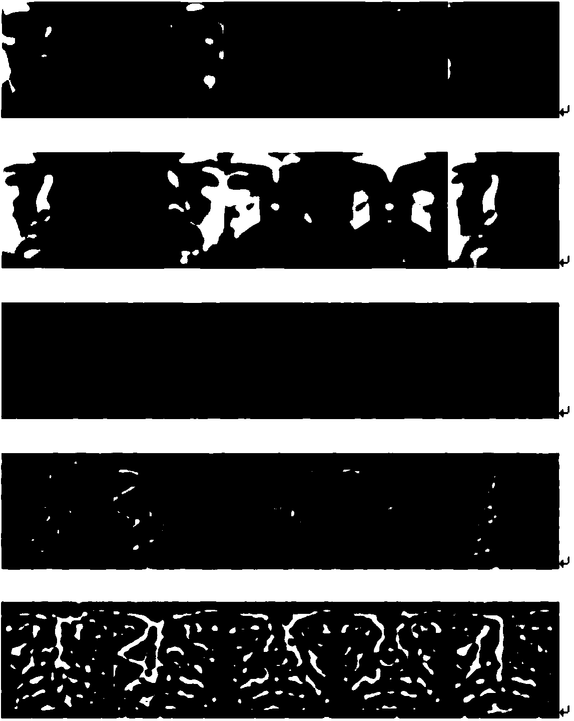 Face identification algorithm under different illumination conditions