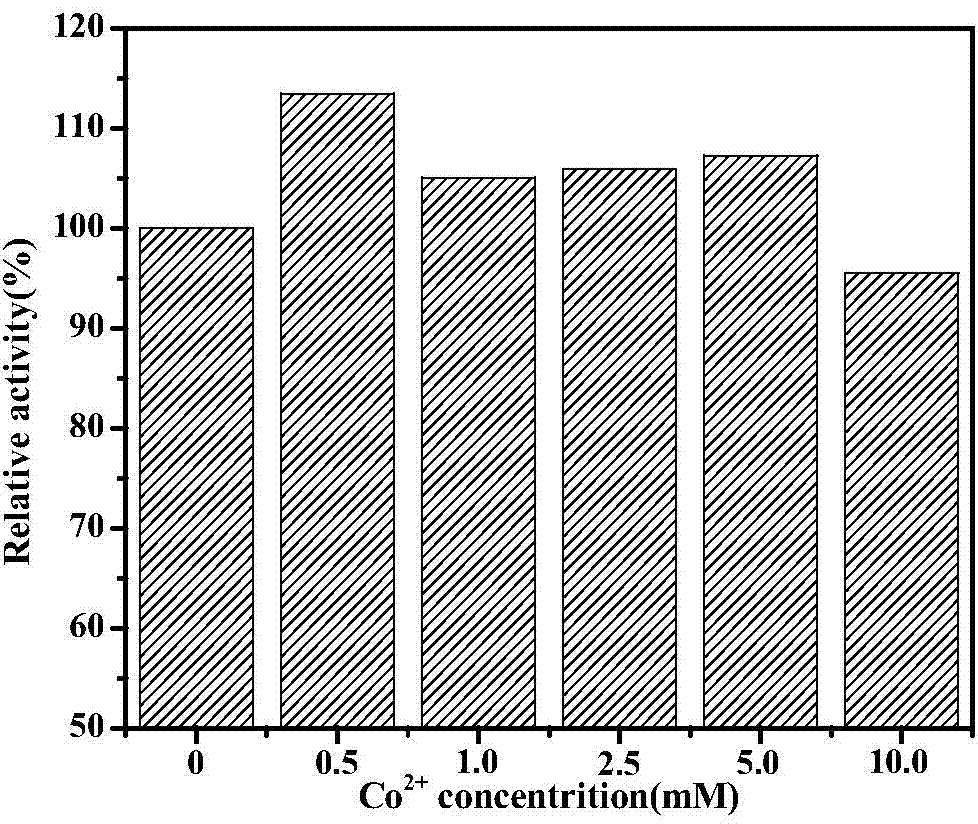 Immobilized recombinant penicillin G acylase and application thereof