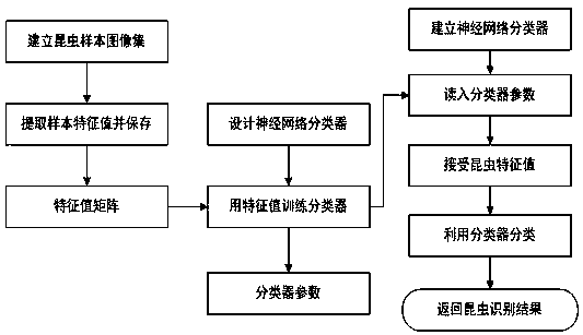 System and method for identifying varieties of insects based on big data cloud server