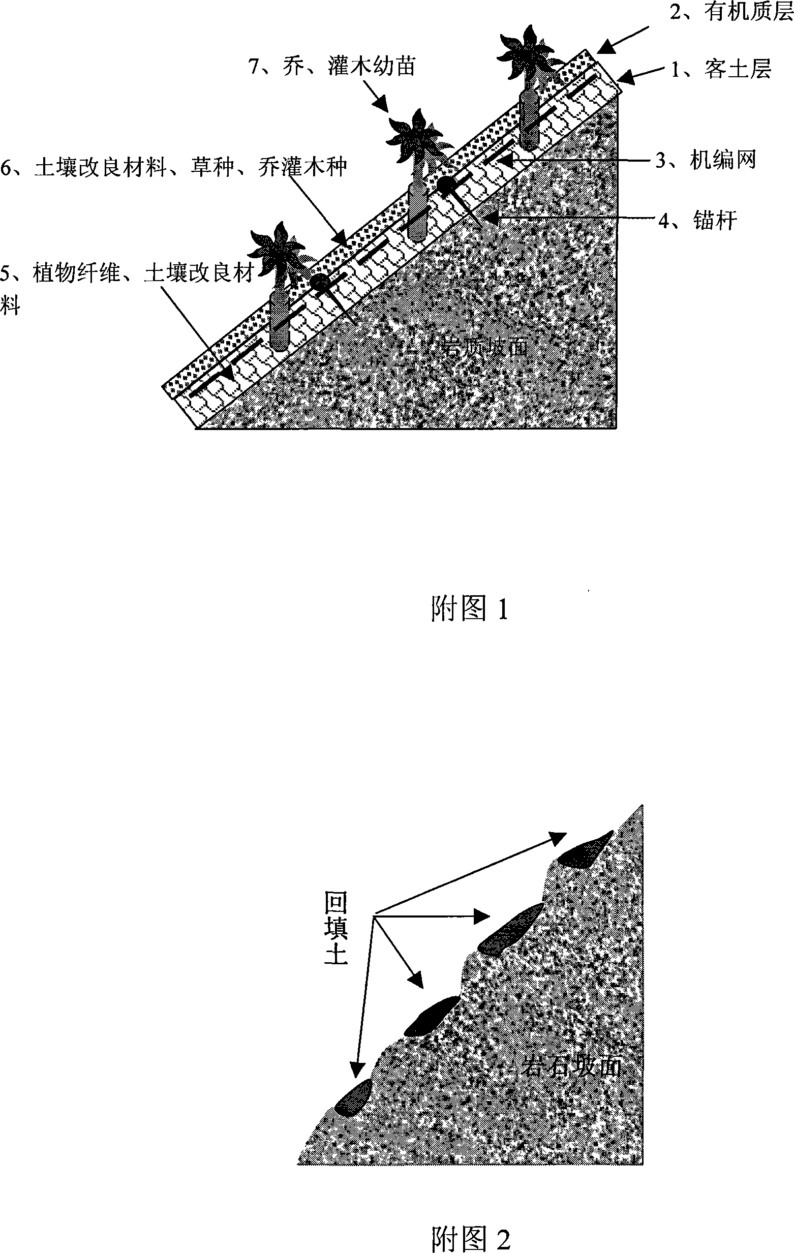 Technology for recovering vegetation on slope of rock and application thereof