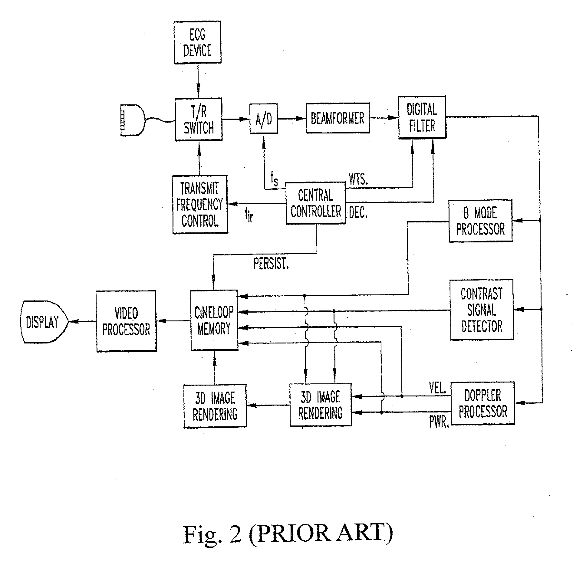Apparatus and method for providing a dynamic 3D ultrasound image