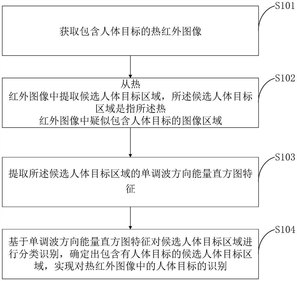 Thermal infrared human target recognition method based on monotone wave direction energy histogram