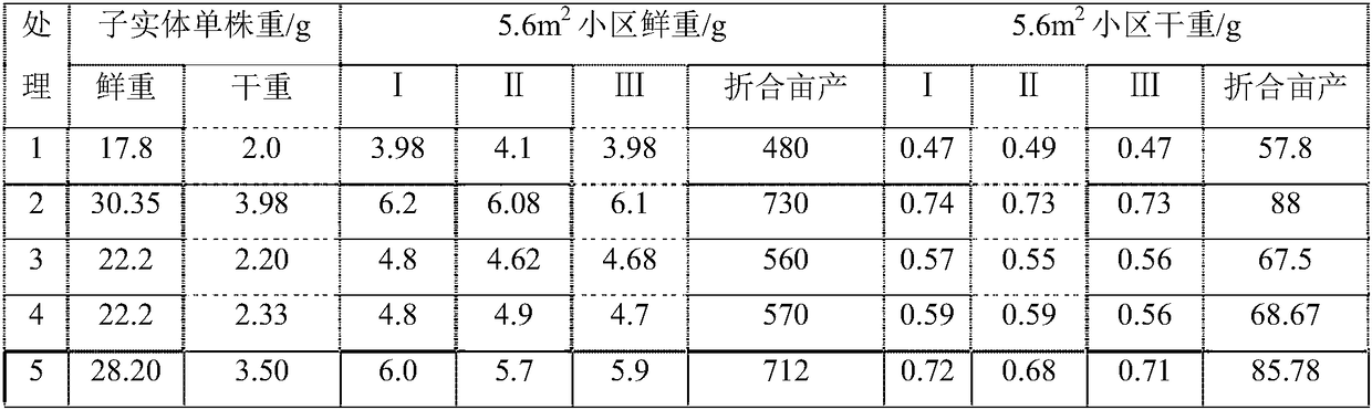 Compound microbial agent for promoting growth of toadstool and bio-organic fertilizer