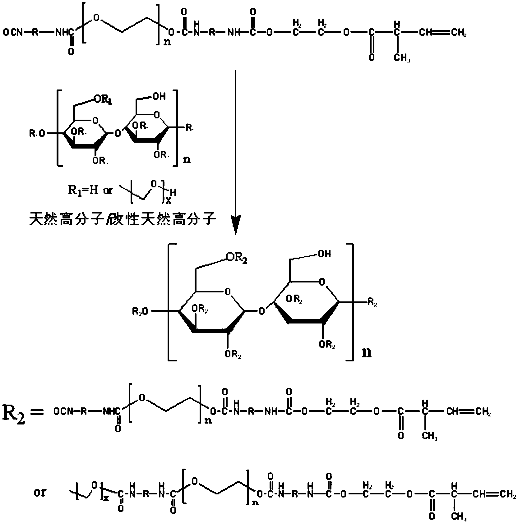 Method for preparing natural polymer matrix light-cured resin
