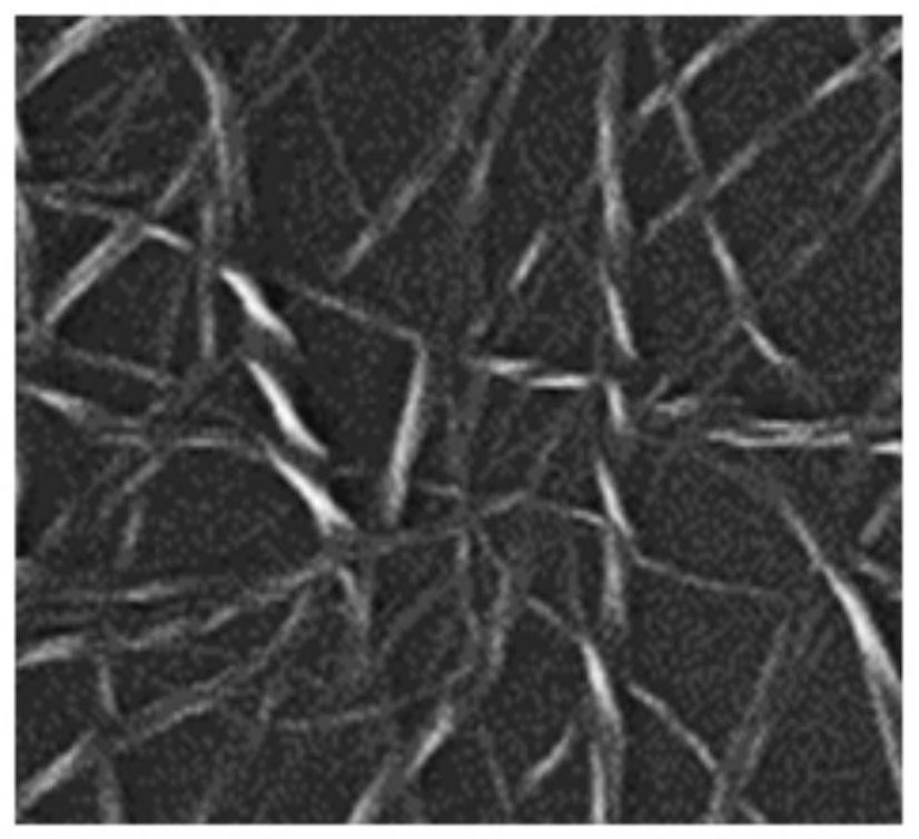 Method for promoting osteogenic differentiation of bone marrow mesenchymal stem cells using levorotatory hydrogel materials