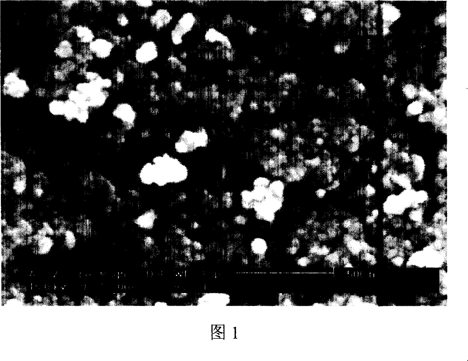 Weather-resistant rust-proof water paint and preparing method thereof