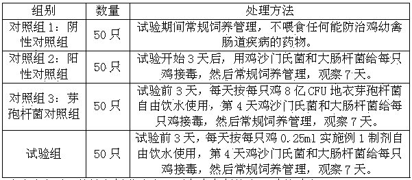 Chicken microecological preparation and preparation method thereof