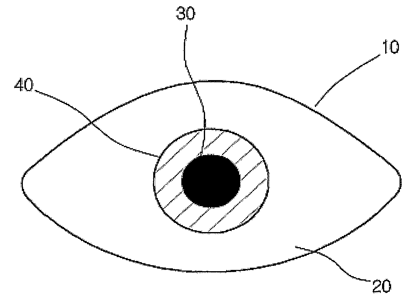 Bio Artificial Eye and Conformer