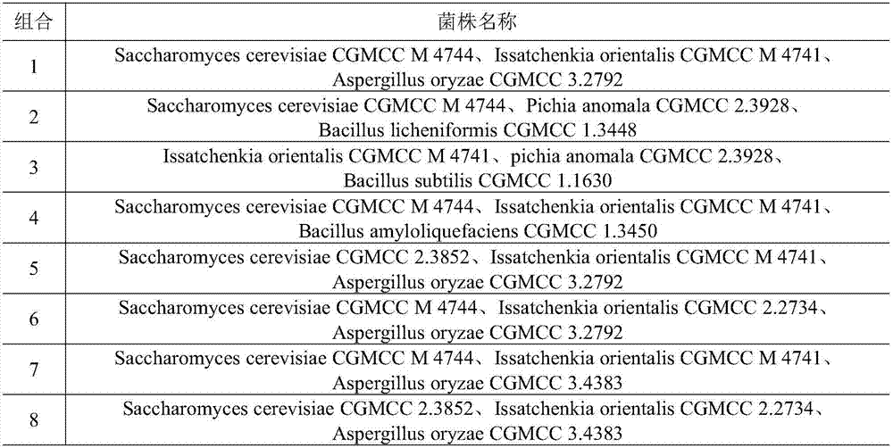 Functional microorganic combined microbial inoculum and application thereof