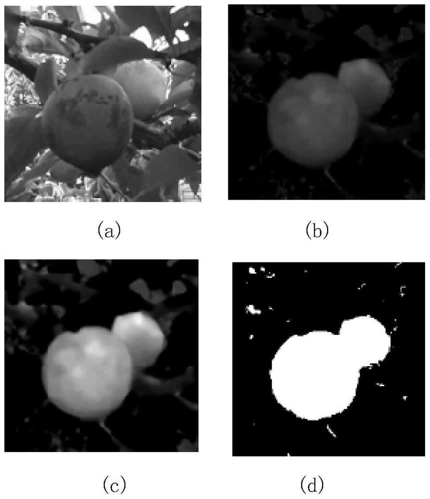 Method for identifying shielded fruits in natural environment