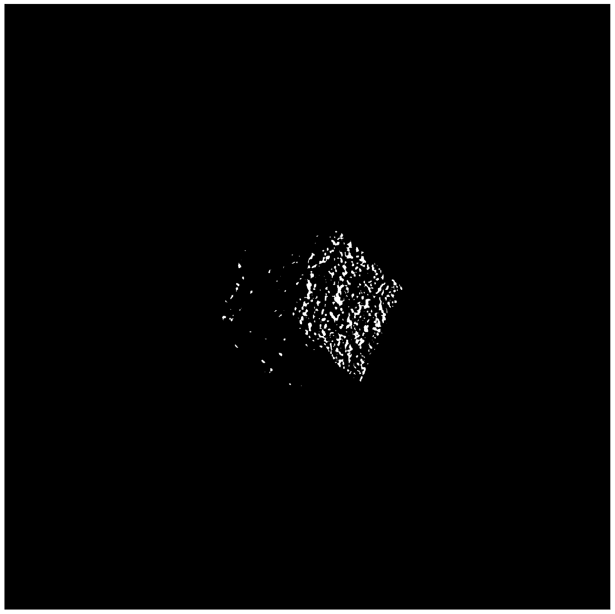 Space target imaging simulation surface element blanking method