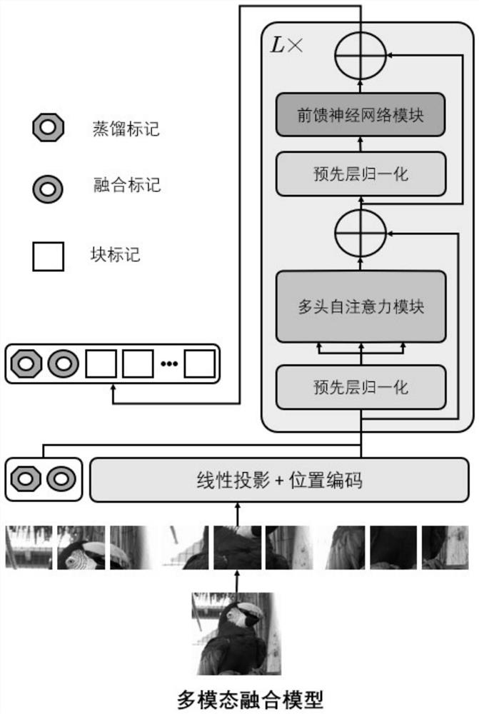 Multimodal image processing method and system based on Transform network and hypersphere space learning