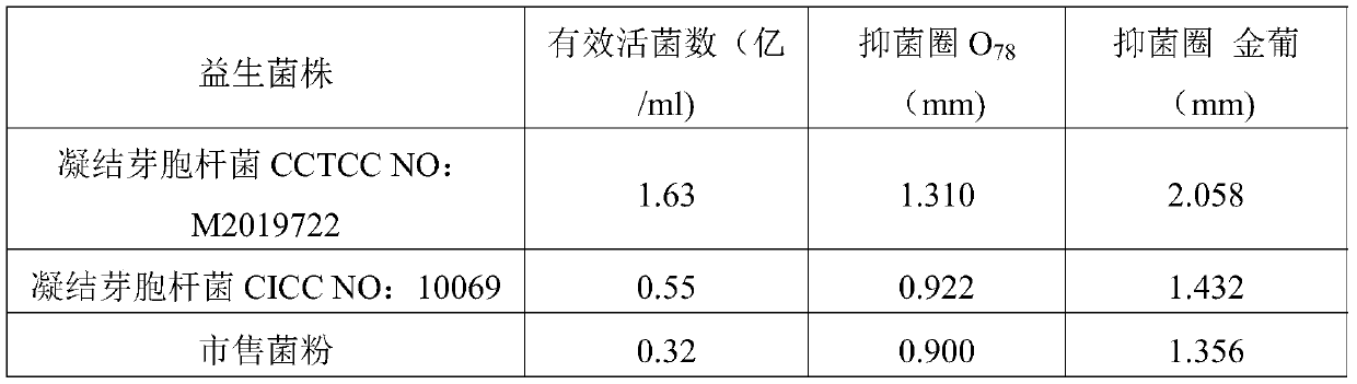 Traditional Chinese medicine microecological preparation for preventing and treating livestock diarrhea and preparation method thereof
