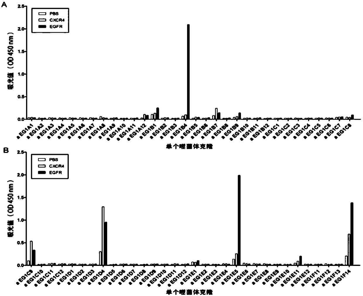 Anti-human EGFR (epidermal growth factor receptor) nano antibody and application thereof