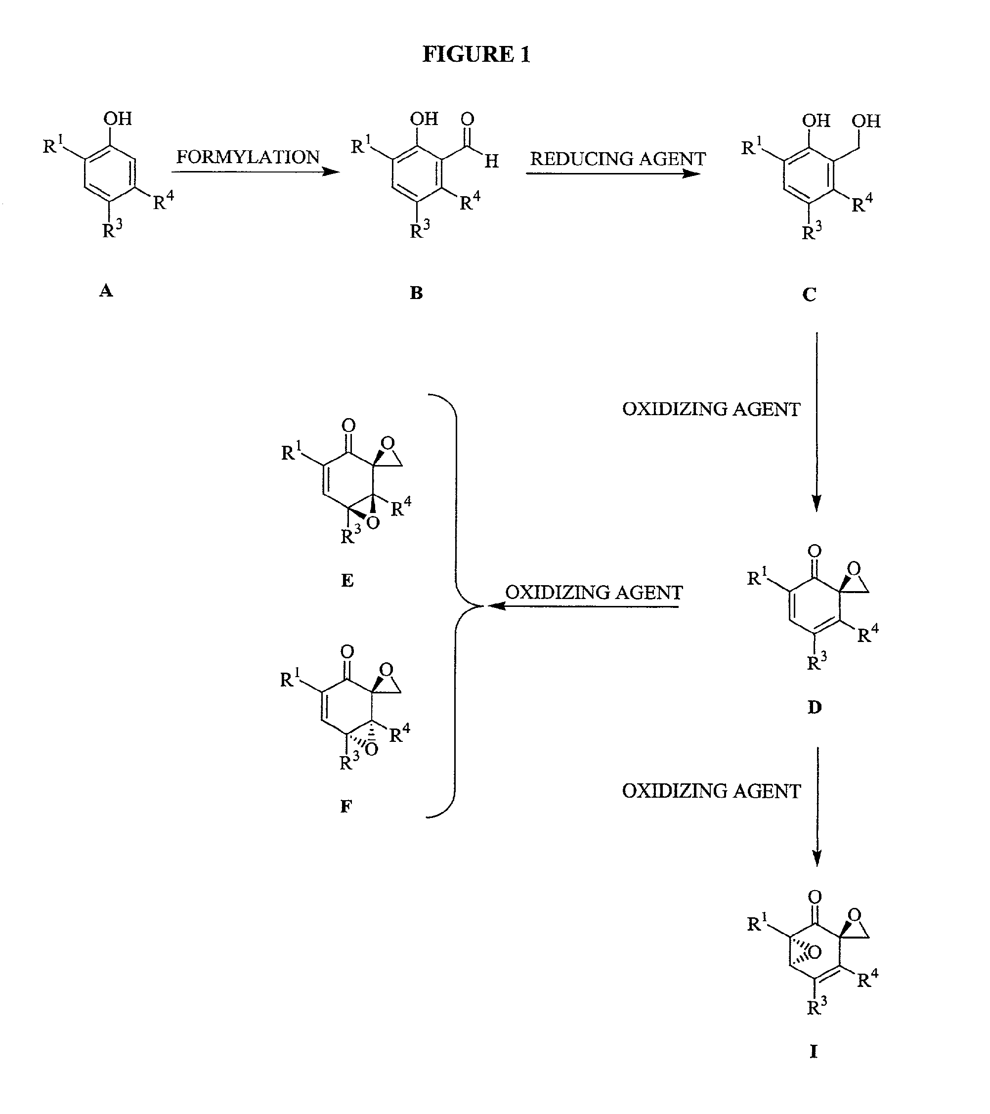 Triptolide Analogs for the Treatment of Autoimmune and Inflammatory Disorders