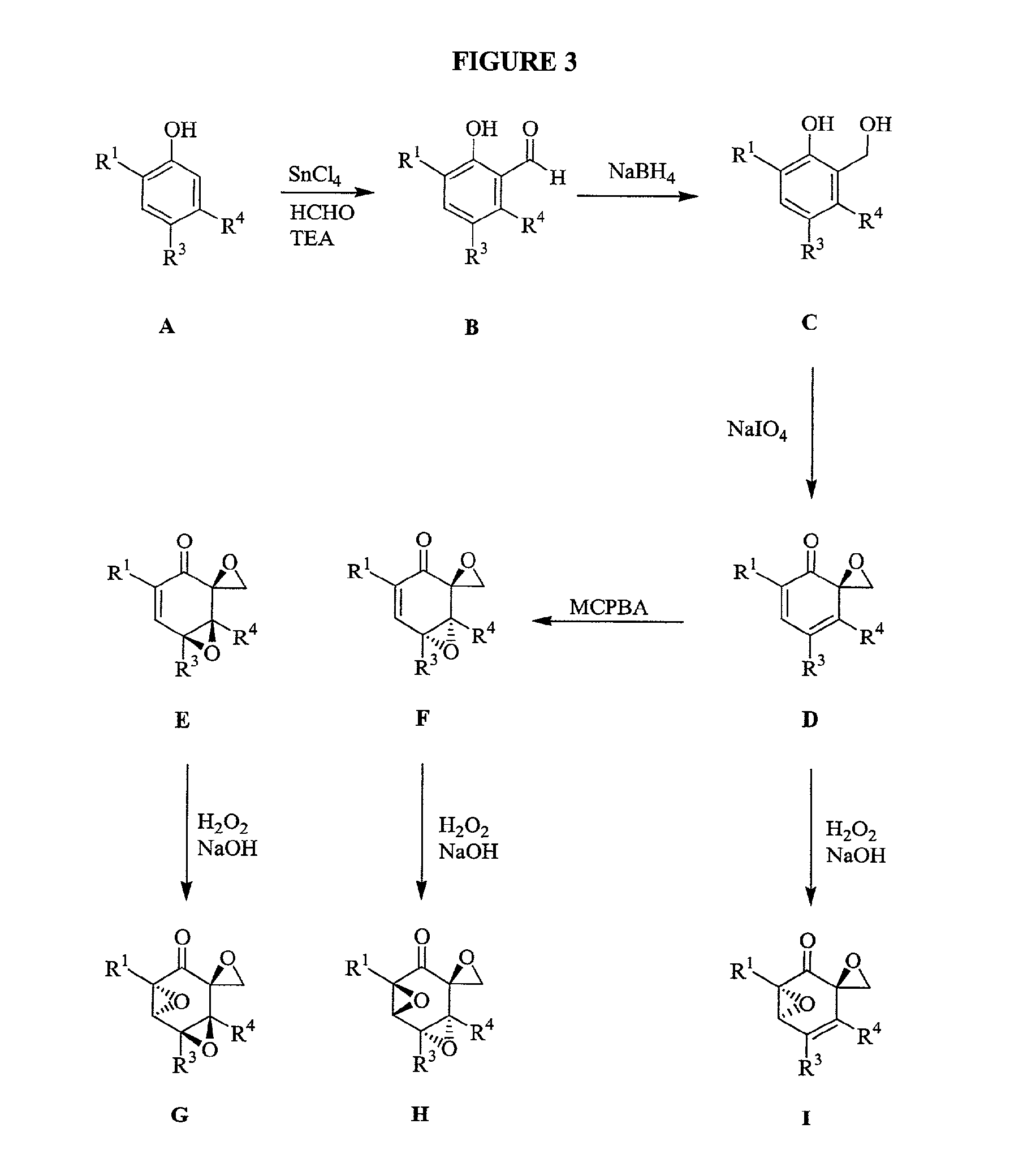 Triptolide Analogs for the Treatment of Autoimmune and Inflammatory Disorders