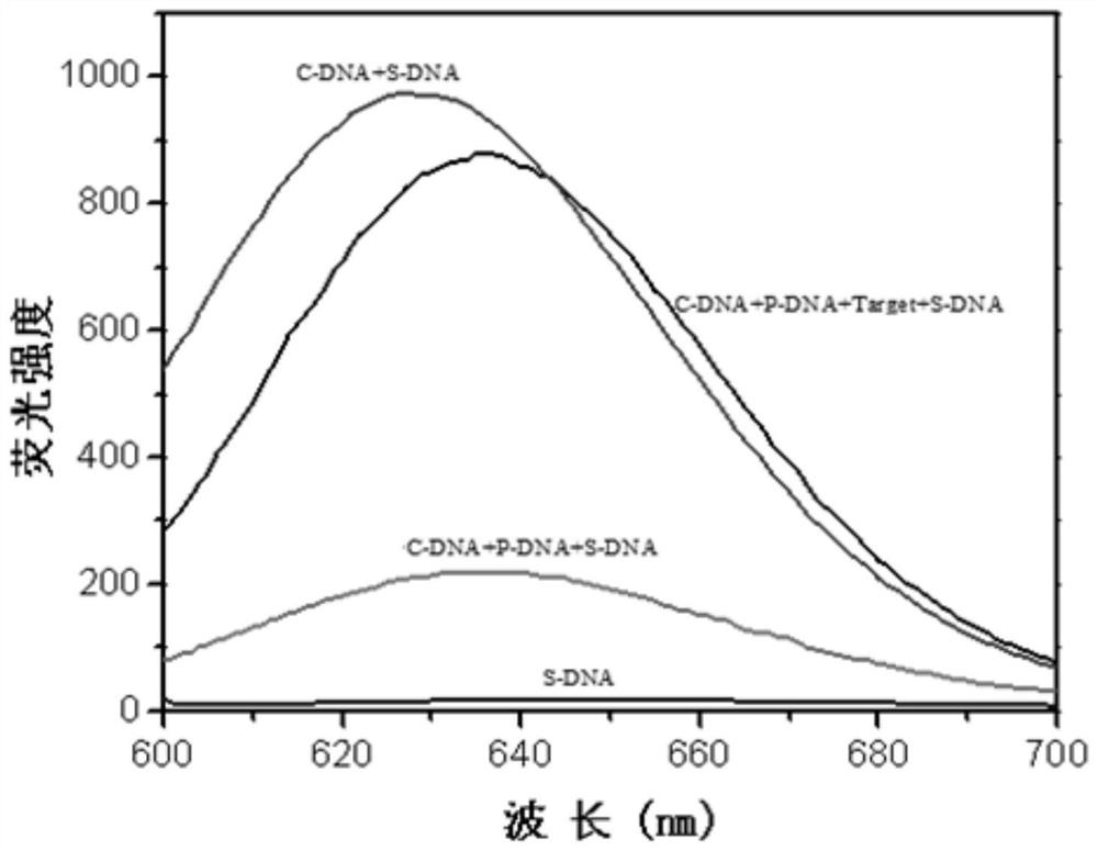 A biosensor based on chain displacement and dark-state silver clusters and its application