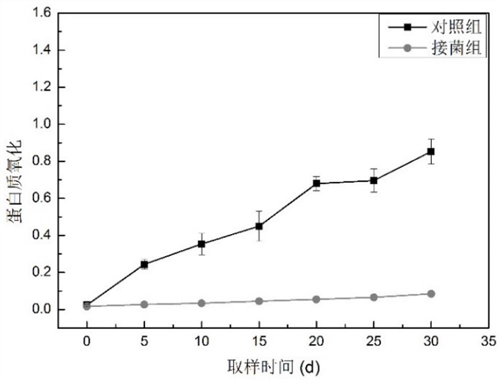 A strain of Staphylococcus saprophyticus and its application in the preparation of dry fermented sausages