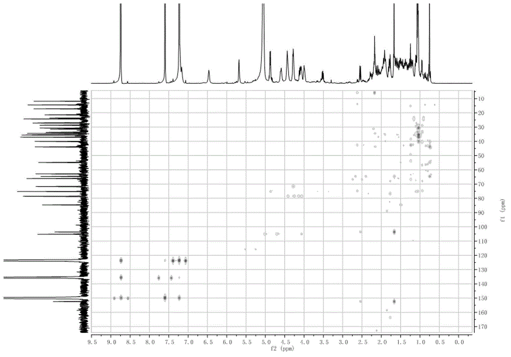 Saponin derivatives and uses thereof