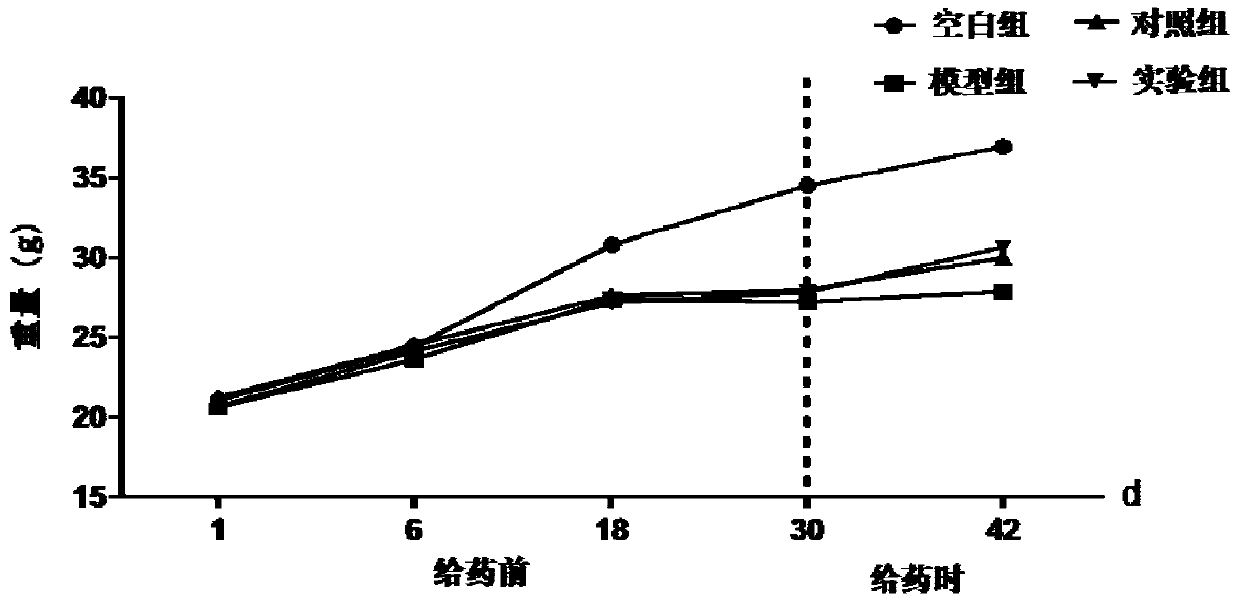Traditional Chinese medicine composition for treating functional dyspepsia and preparation method thereof