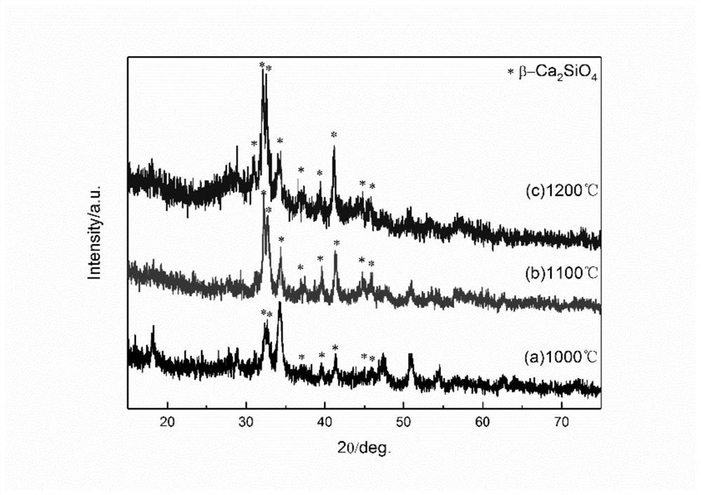 A kind of preparation method of porous dicalcium silicate bioactive ceramic support