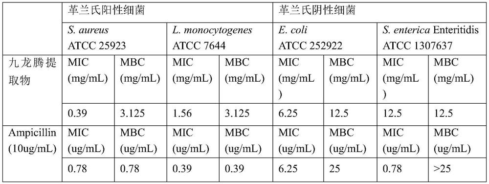 Bauhinia championii extract as well as preparation method and application thereof in antibacterial agent for food-borne pathogenic bacteria