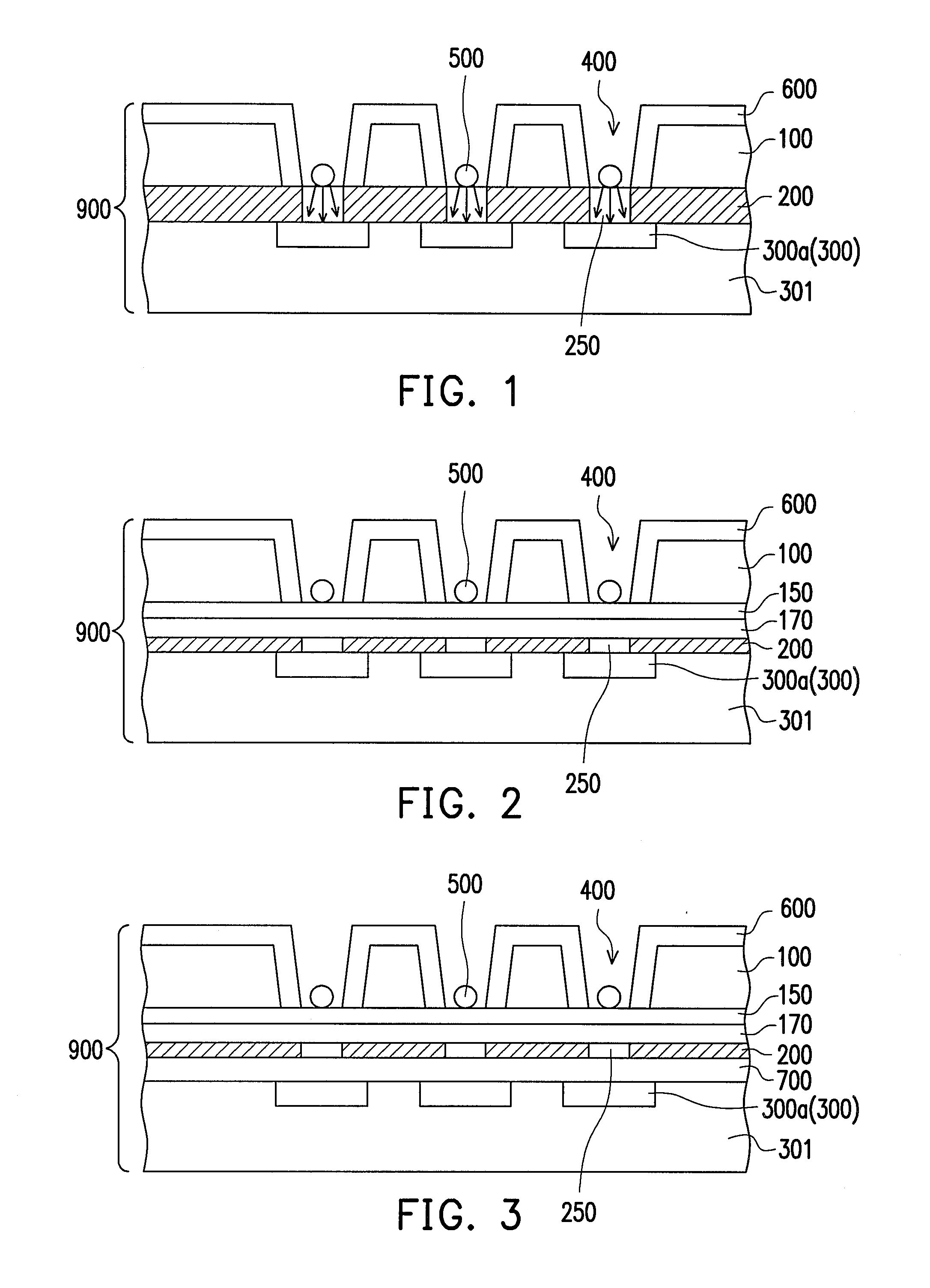 Apparatus for single molecule detection and method thereof
