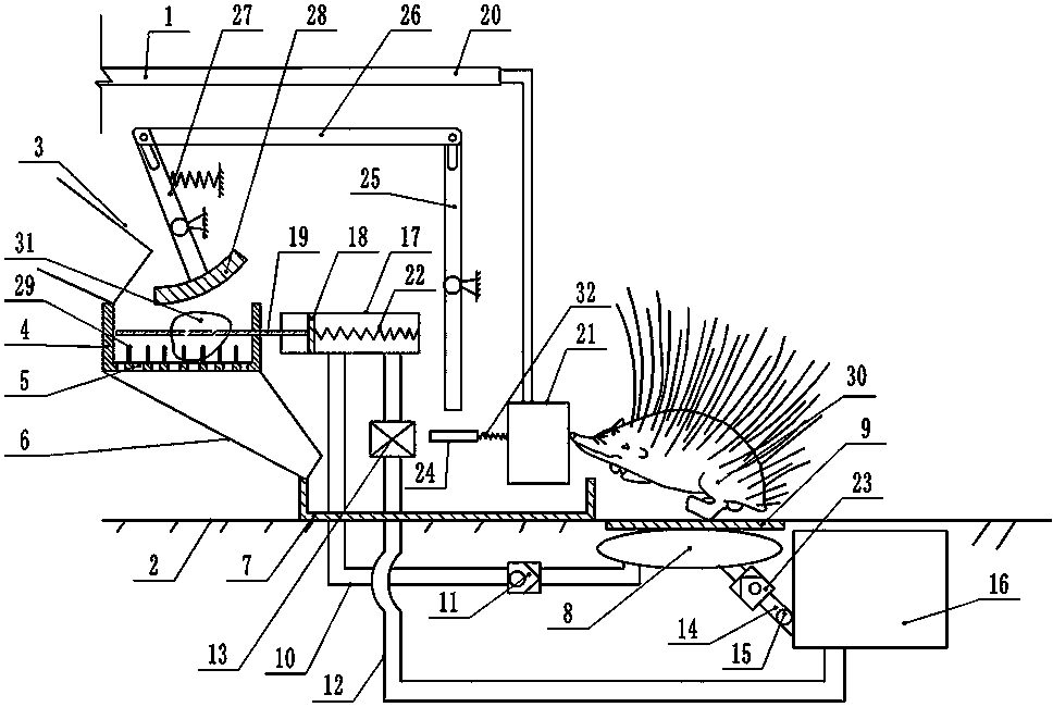 Automatic feeding device for porcupines