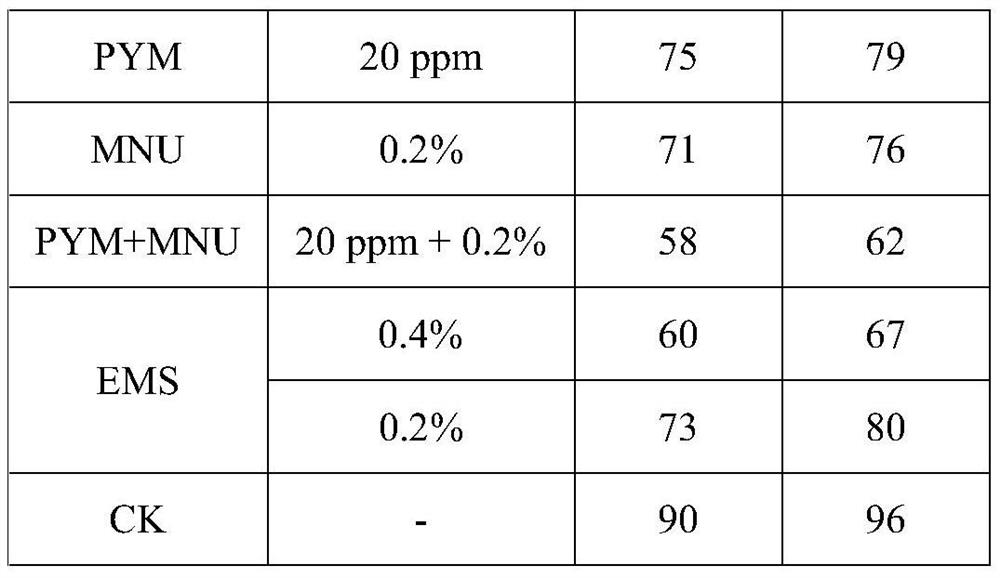 A chemical mutagen for genetic breeding of maize