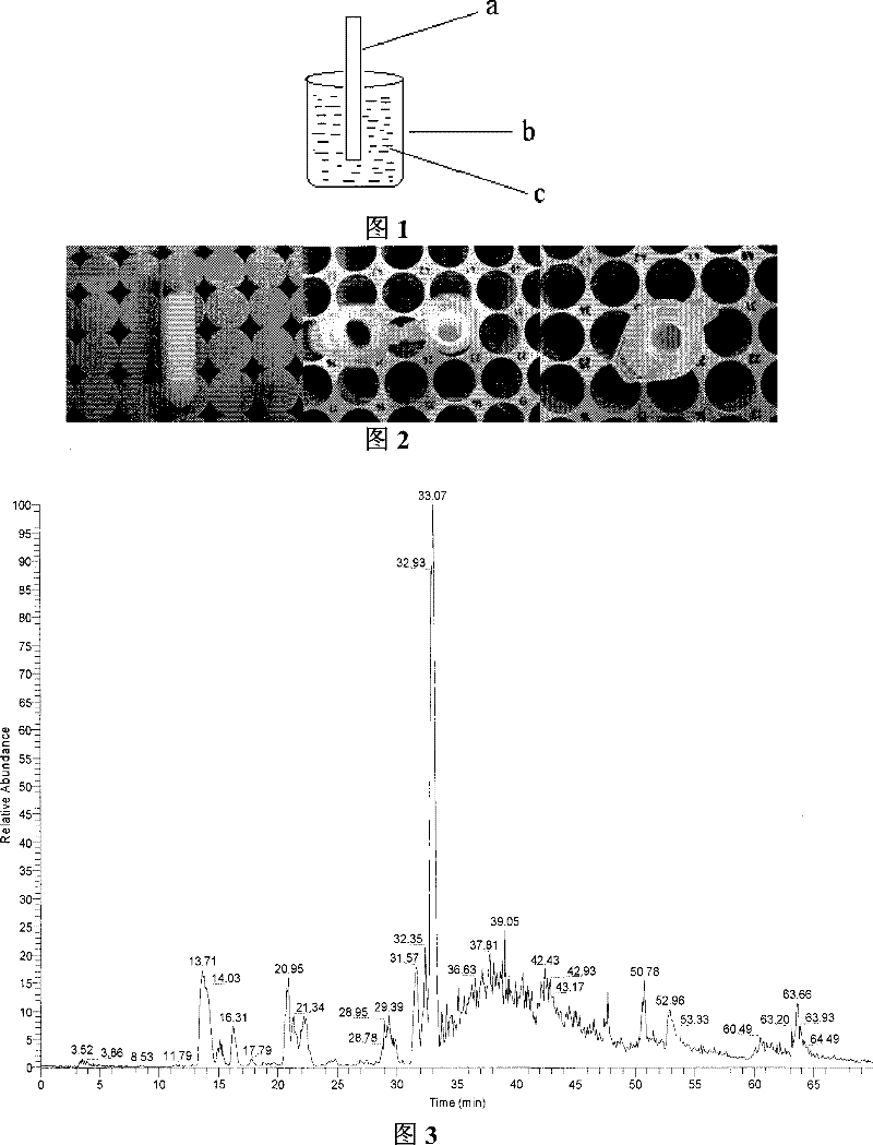 Protein collection and enzymolysis integrated sample pretreatment apparatus and its production