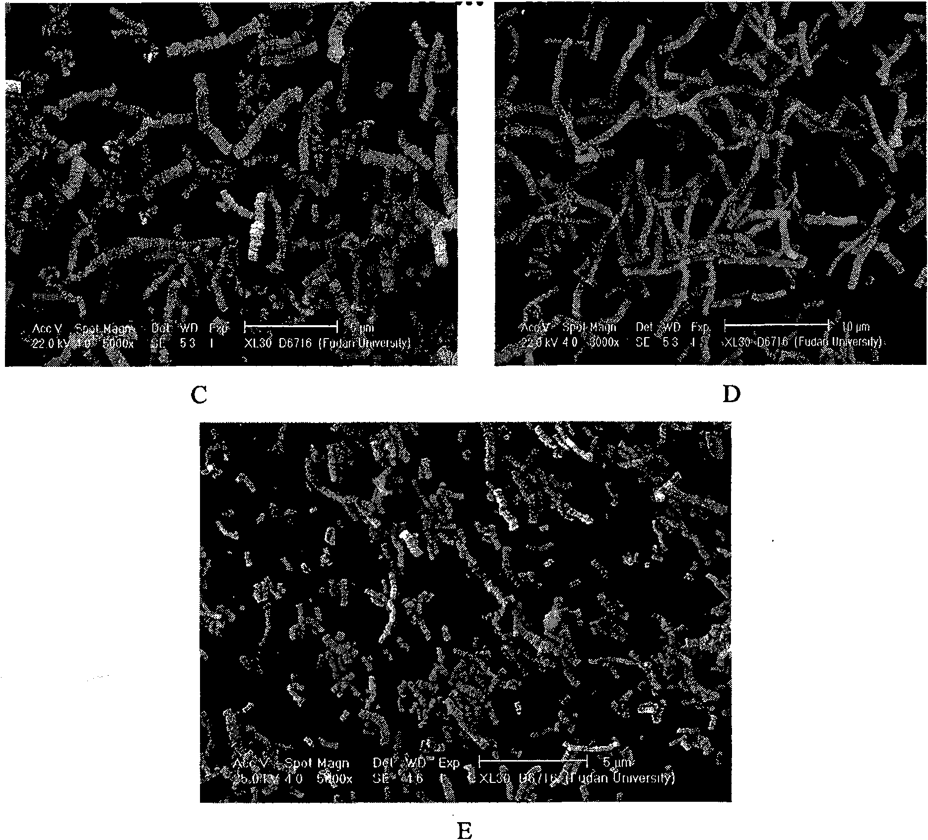 Method for preparing lanthanum subcarbonate nana-/micro-crystal by double hydrolysis regulation