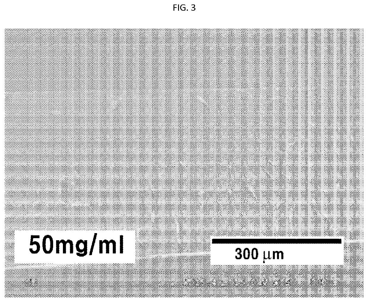 Large scale film containing quantum dots or dye, and production method therefor