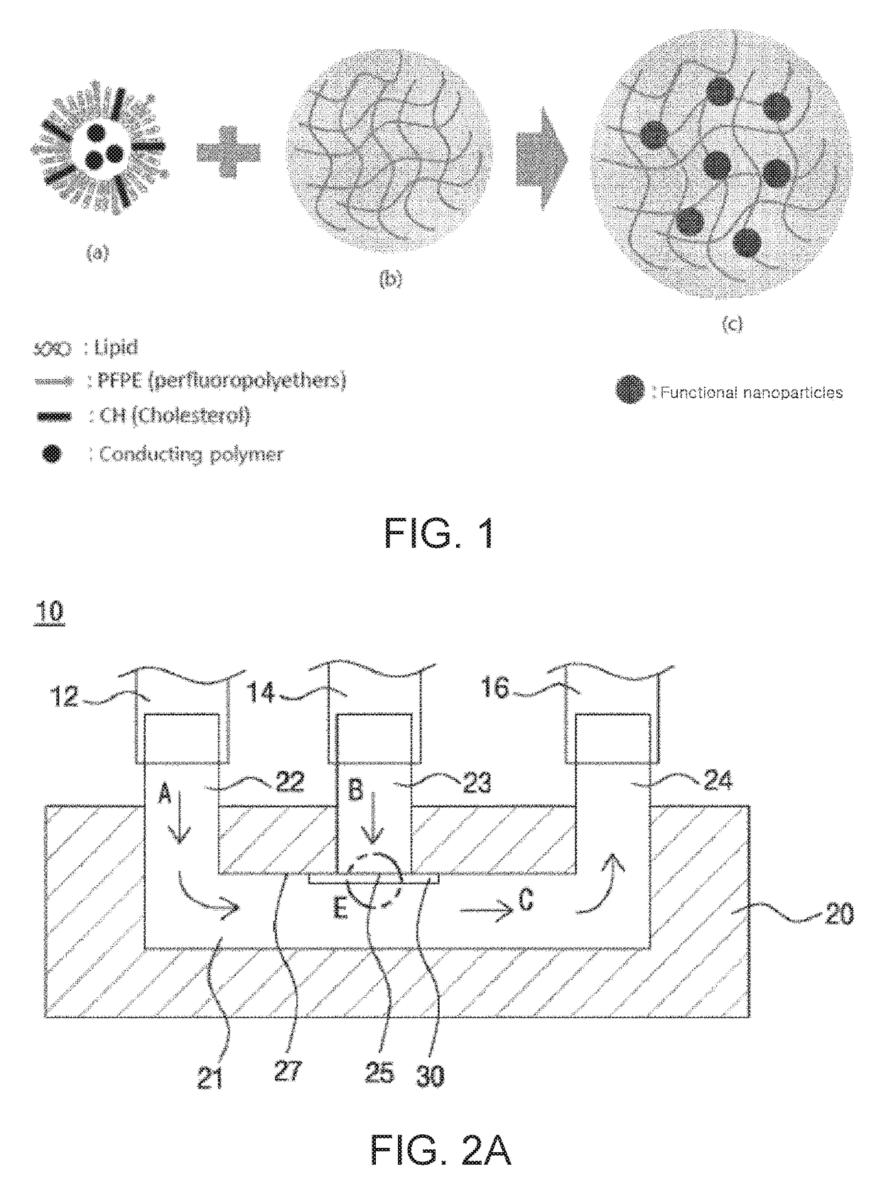 Amphiphilic hydrogel particles for antifouling paint and method of fabricating the same