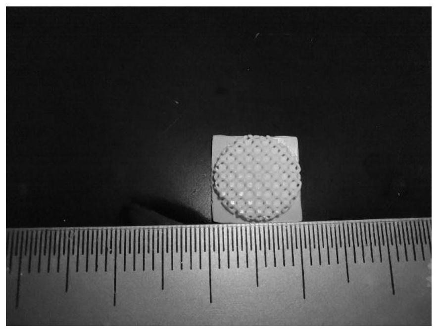 A kind of bioceramic slurry and preparation method thereof for high-performance dlp printing