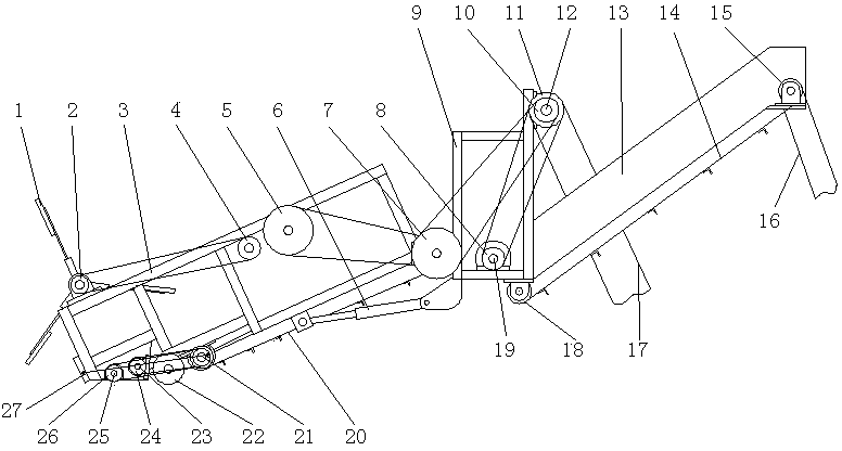 Seed producing summer squash harvester