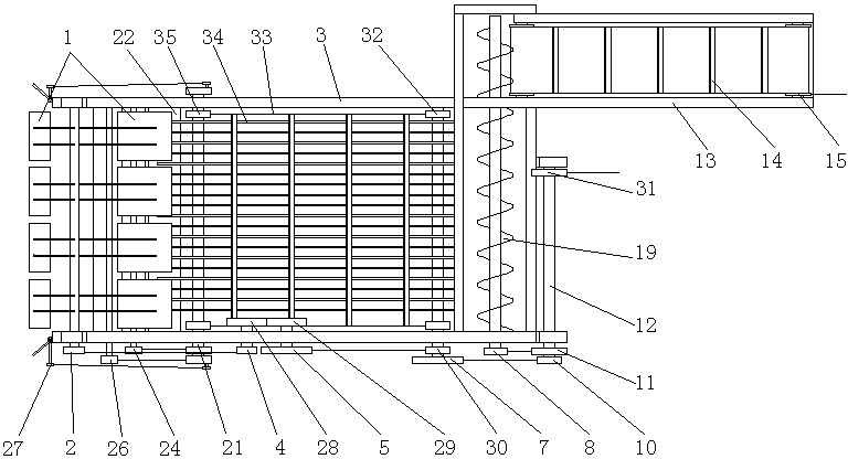 Seed producing summer squash harvester