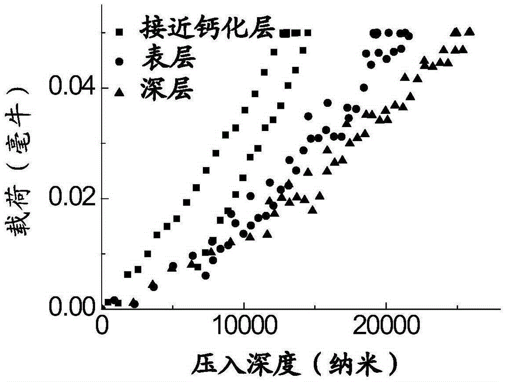 A kind of articular cartilage microstructure nano-indentation mosaic water-retaining sample platform and experimental method