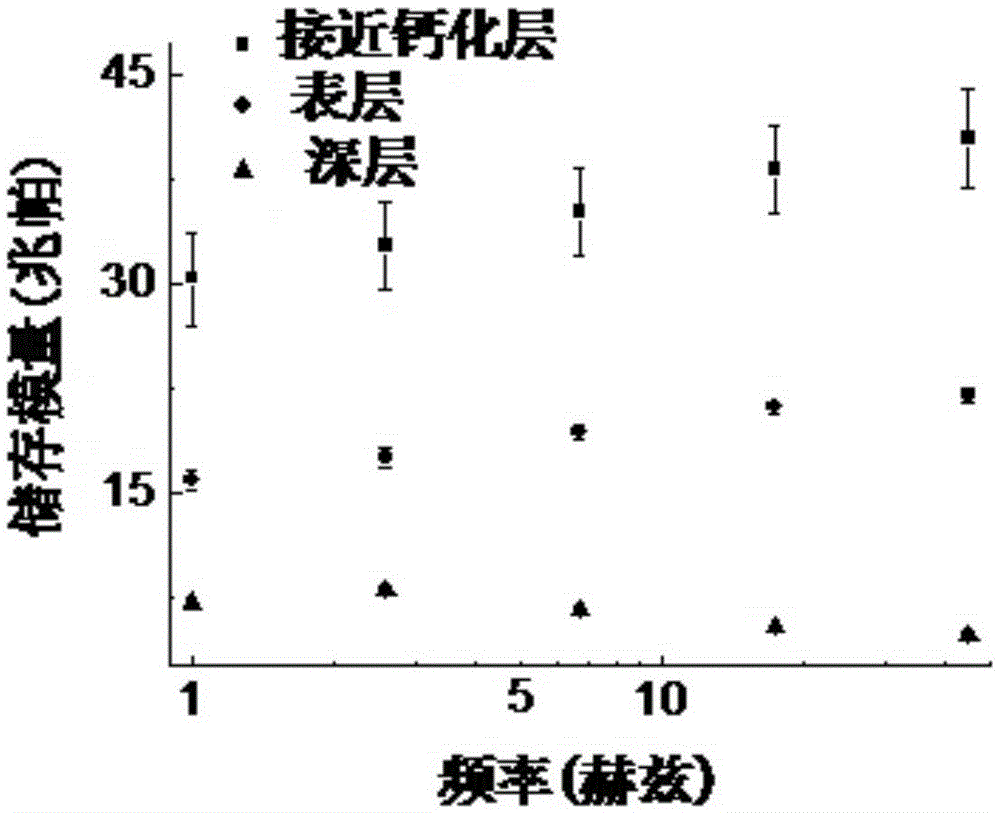 A kind of articular cartilage microstructure nano-indentation mosaic water-retaining sample platform and experimental method