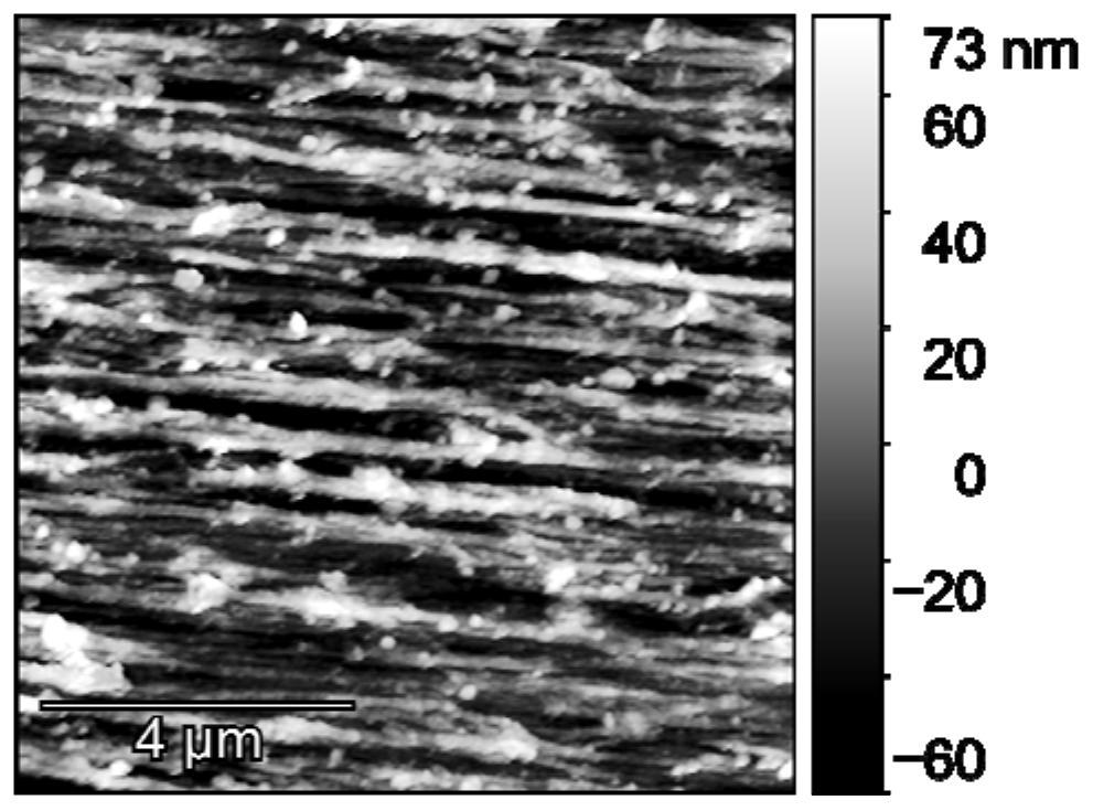 Highly oriented cellulose airgel and its preparation method