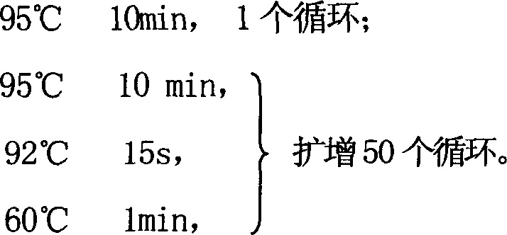 Method for predicting angiotonin II receptor agonist hypotensor medicine function and its use