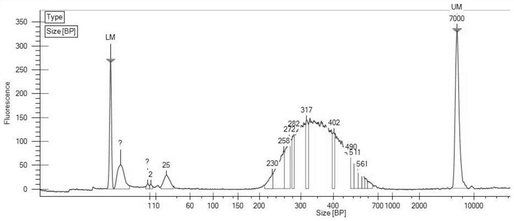 Group of probes and library building kit for detecting polymorphism of pharmacogenomics related gene CYP2D6 by using hybrid capture method