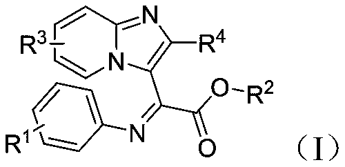 3-imidazole[1,2-a]pyridine compound