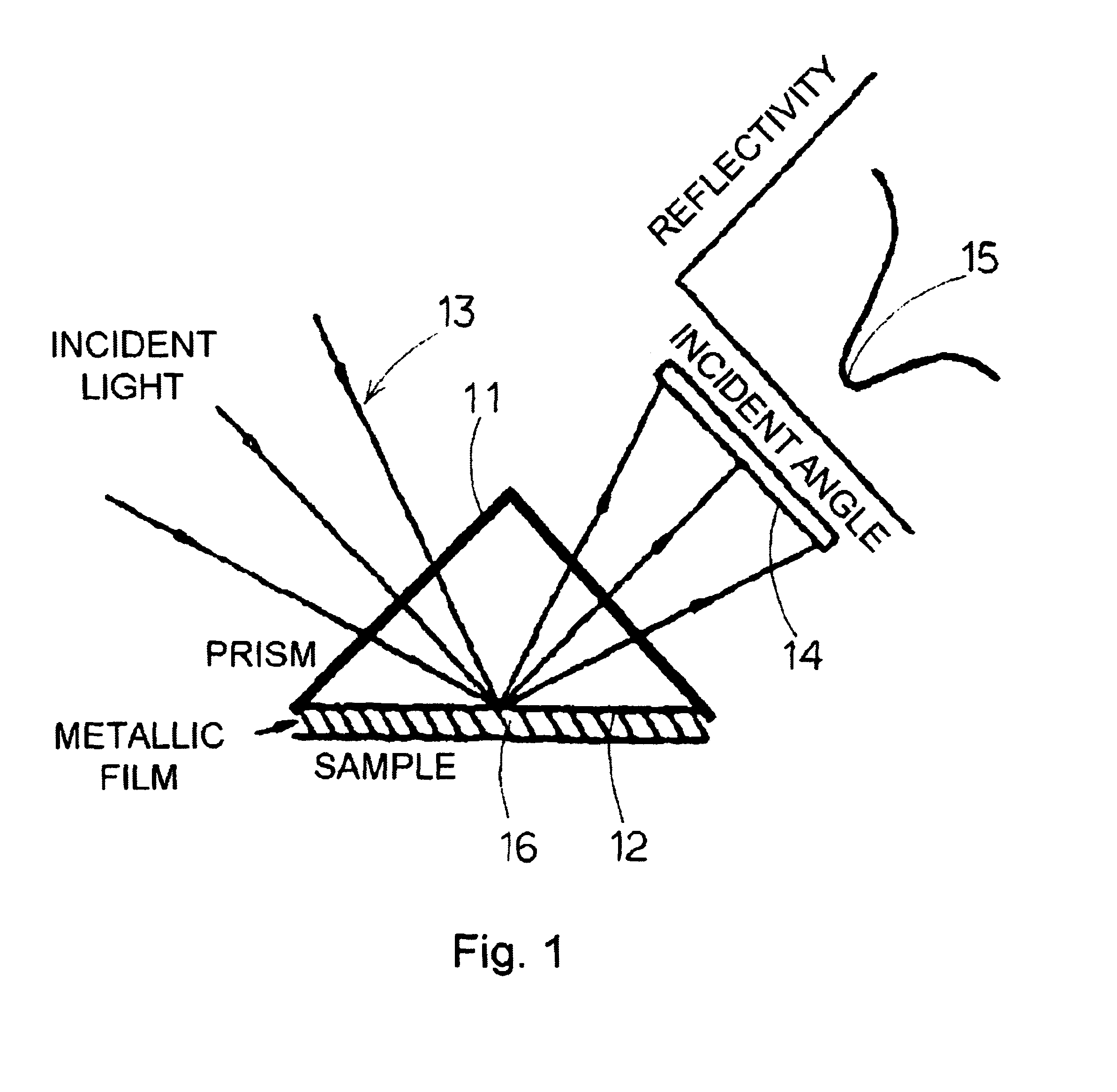 Method for measuring concentration of component contained in bodily fluid and apparatus for measuring concentration of component contained in bodily fluid