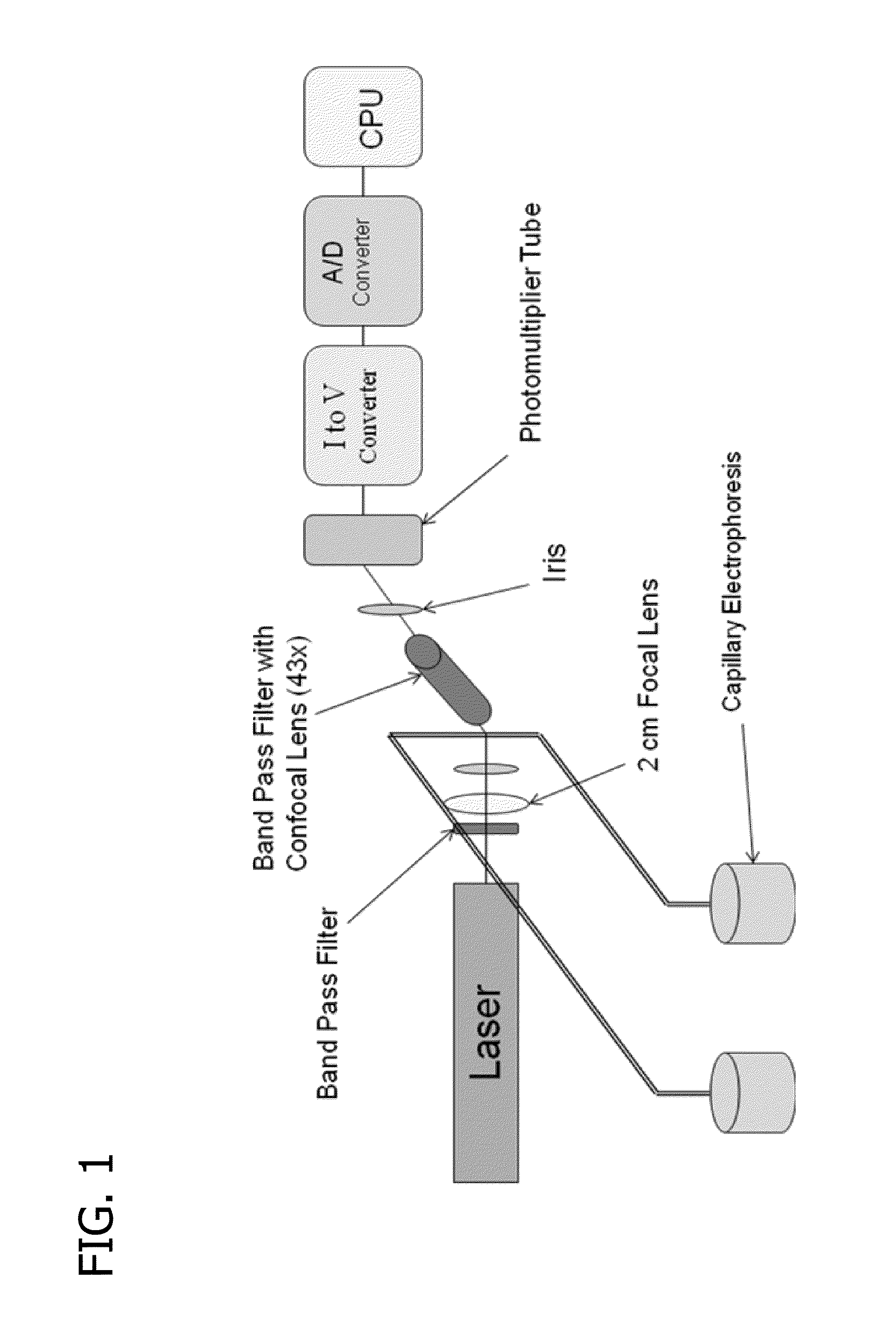 Method and apparatus for cancer screening