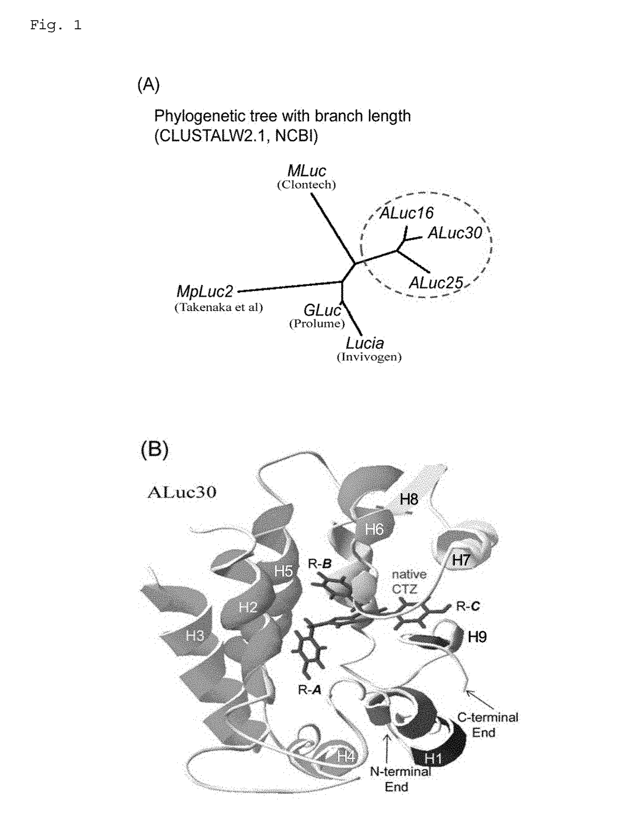 Luminescent substrate for use in artificial bioluminescent enzyme