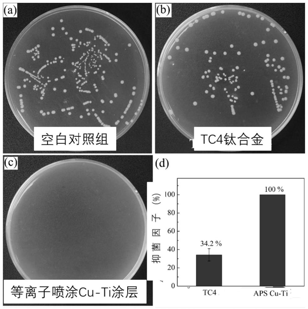 An anti-biofouling coating based on a primary cell with a micron-sized bimetallic laminate structure and its preparation method