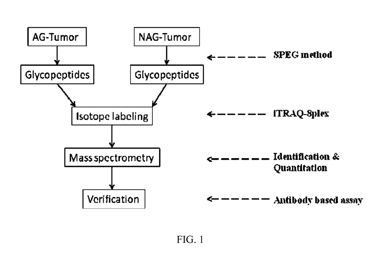 Biomarkers for aggressive prostate cancer